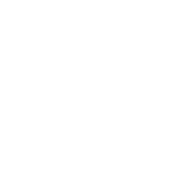 The Roth Company, Inc.